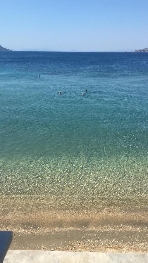 Villa Lula Nea Styra Exteriör bild