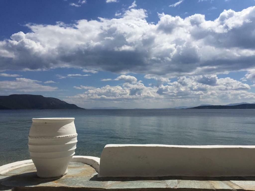 Villa Lula Nea Styra Exteriör bild
