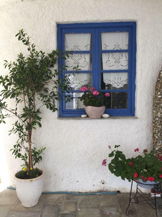 Villa Lula Nea Styra Exteriör bild